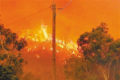 澳大利亚珀斯山火肆虐.jpg