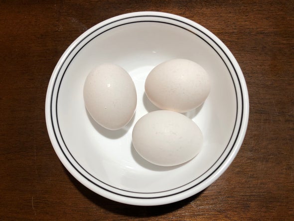 鸡蛋.jpg