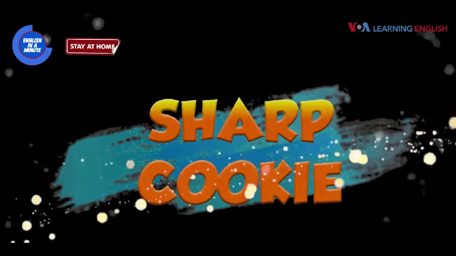 聪明的人 Sharp Cookie