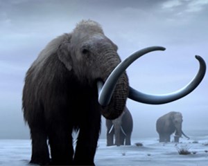 bringing-back-woolly-mammoths-hero_fsThRJt.width-2000_副本.jpg