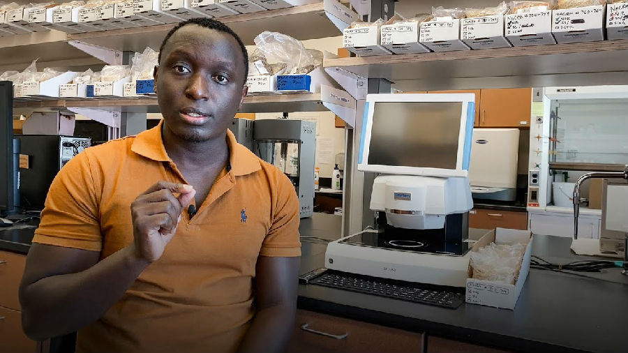 藜麦如何能协助对抗饥荒和营养不良