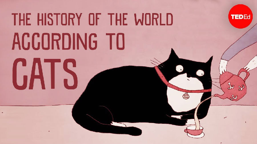 关于猫的世界历史