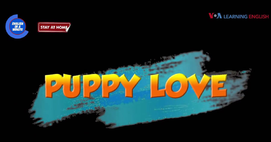 初恋 Puppy love