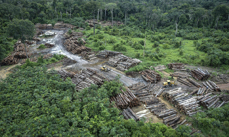 亚马逊雨林砍伐.jpg