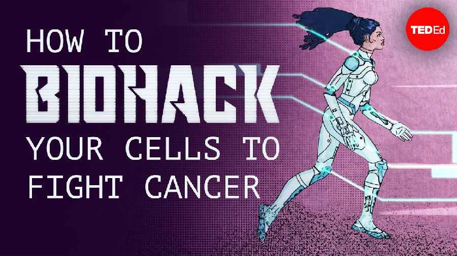 如何使用生物黑客手段使你的细胞对抗癌症