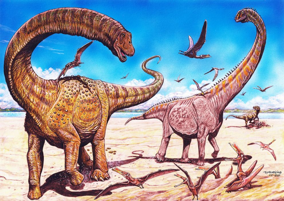 新疆发现大型恐龙化石 并命名两个新属种