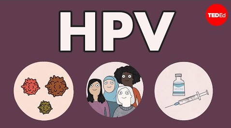 HPV是什么 我们又该如何保护自己?