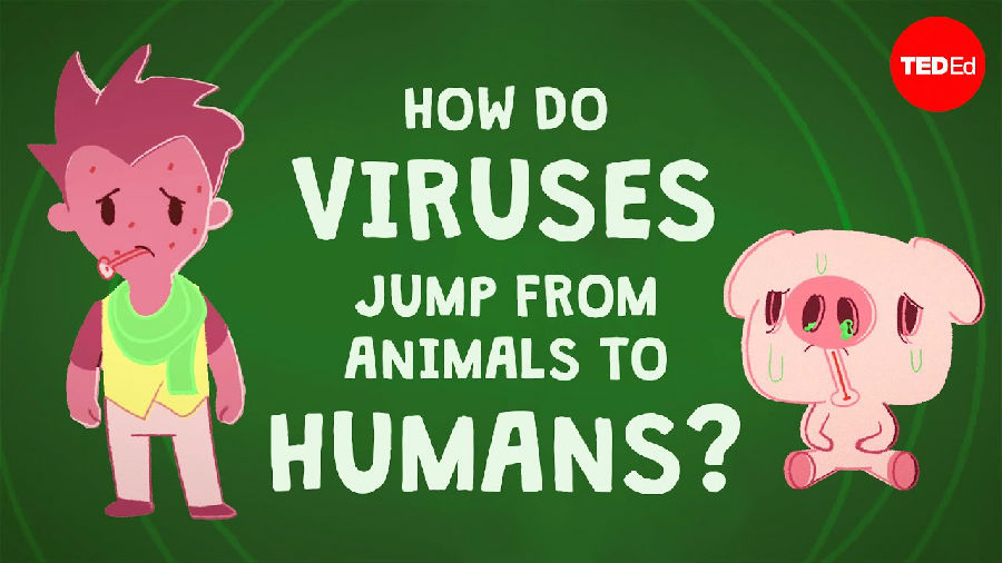 病毒是如何从动物转移到人类身上的