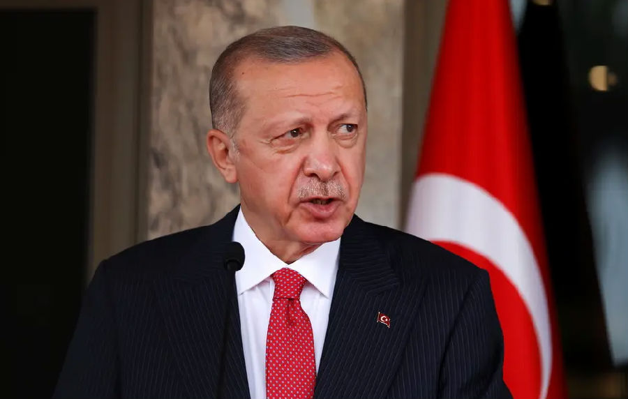 土耳其总统下令驱逐西方10国大使