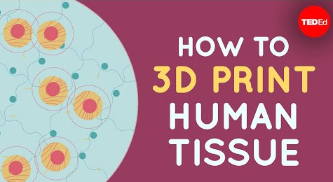 如何3D打印人体组织