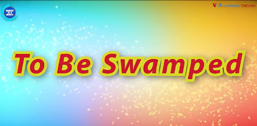 忙得不可开交 To Be Swamped