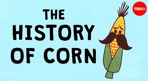 玉米的世界史