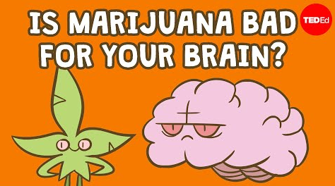 大麻对你的大脑有害吗