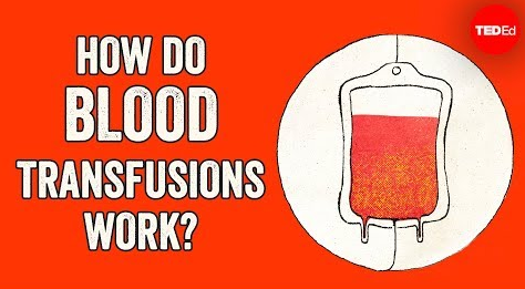 输血的原理是什么