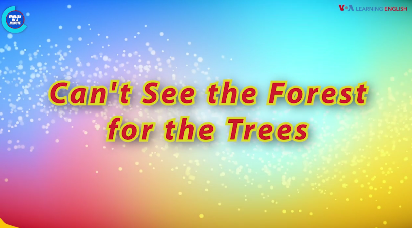 见树不见林 Can't See the Forest for the Trees