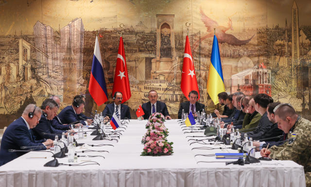 俄乌代表在土耳其展开新一轮谈判
