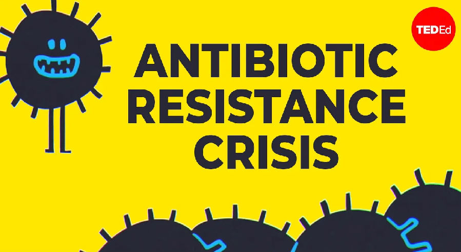 我们怎样才能解决抗生素耐药危机
