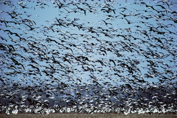 mittermeier and his team surveyed nearly two-and-a-half billonn